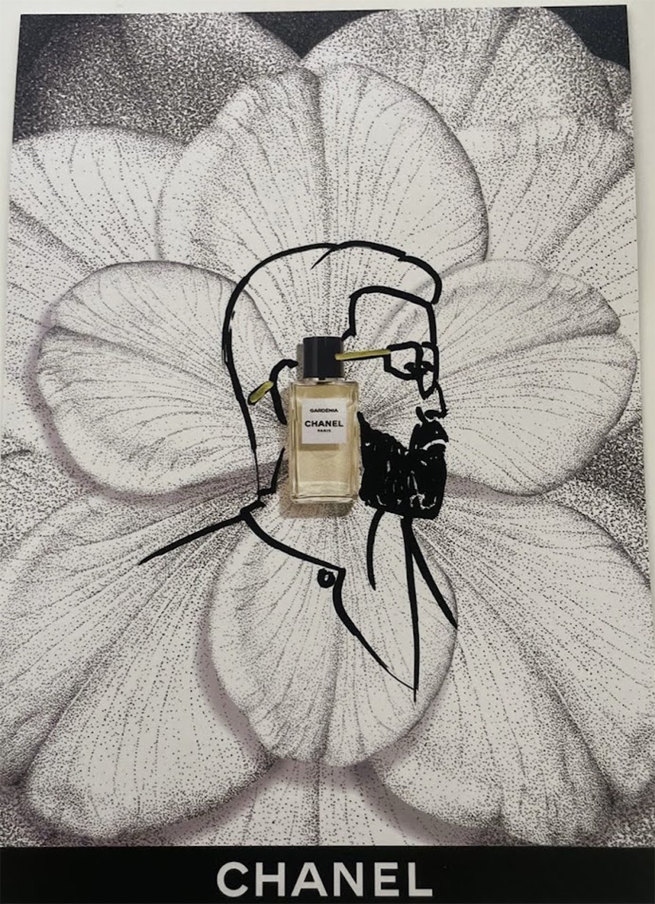 Illustrated Chanel Gardenia perfume artwork combining a line-drawn portrait with a photographed scent bottle